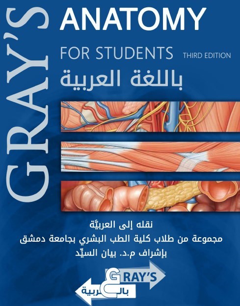 Gray's Anatomy     