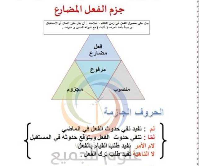 الصف السابع اللغة العربية درس جزم الفعل المضارع