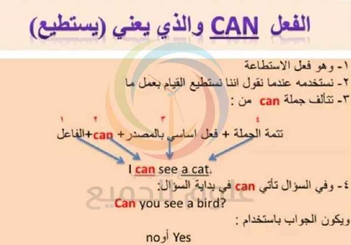    can     