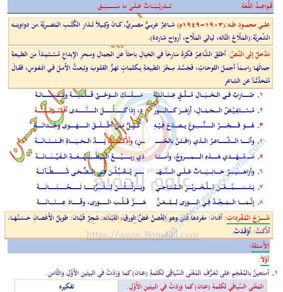 نوطة شرح اللغة العربية الصف التاسع