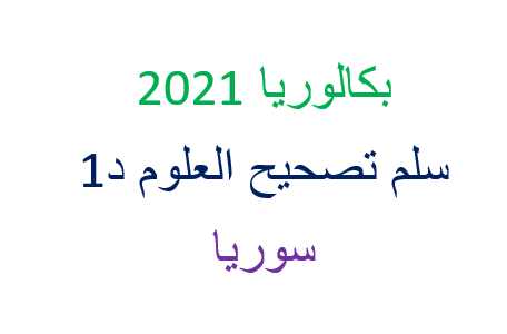     2021   