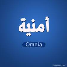  - Omnia 