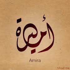  - Amira 